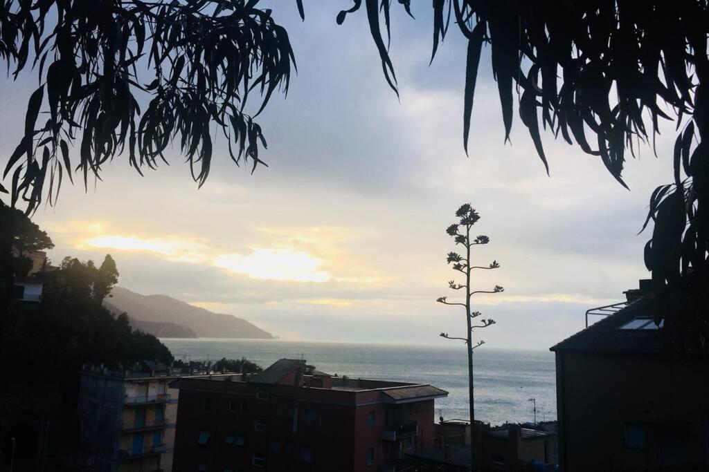 Sea View With Terrace, La Casa Di Christine Lejlighed Monterosso al Mare Eksteriør billede